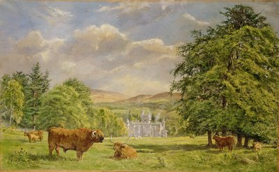 Bulls at Balmoral, 1988 by Tim Scott Bolton